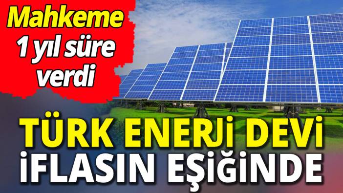 Türk enerji devi iflasın eşiğinde 'Mahkeme 1 yıl süre verdi'