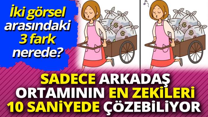 Sadece arkadaş ortamının en zekileri 10 saniyede çözebiliyor 'İki görsel arasındaki 3 fark nerede'
