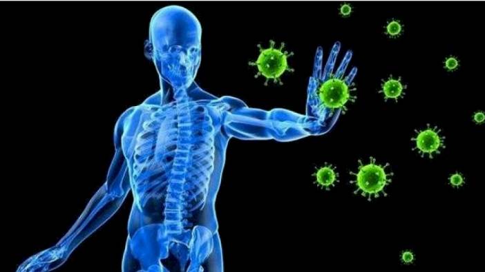 Bağışıklık sistemini güçlendiren yeni keşif