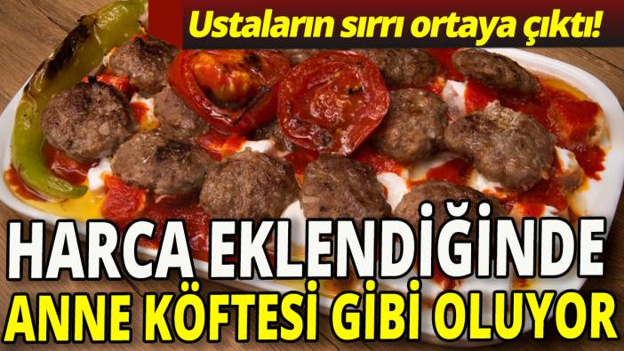Harca eklendiğinde anne köftesi gibi oluyor' Ustaların sırrı ortaya çıktı'