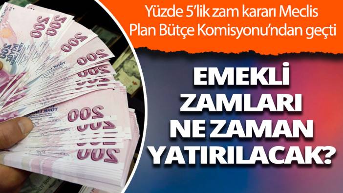 Emeklinin ek zammı komisyondan geçti Peki zamlı maaşlar ne zaman hesaplara yatacak