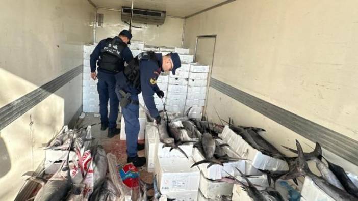 Balıkesir’de avlanması yasak 3 ton balık ele geçirildi