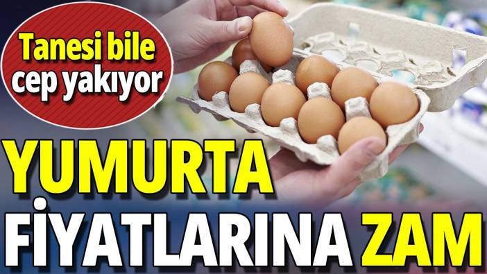Yumurta fiyatlarına zam 'Tanesi bile cep yakıyor'