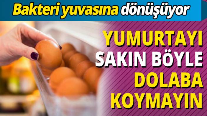 Bakteri yuvasına dönüşüyor 'Yumurtayı sakın böyle dolaba koymayın'