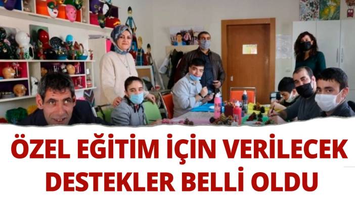 Özel eğitime ihtiyaç duyanlara için verilecek destekler belli oldu