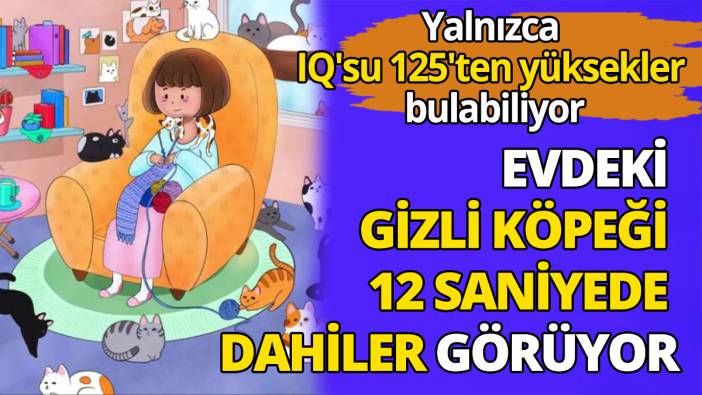Yalnızca IQ'su 125'ten yüksekler bulabiliyor Evdeki gizli köpeği 12 saniyede dahiler görüyor