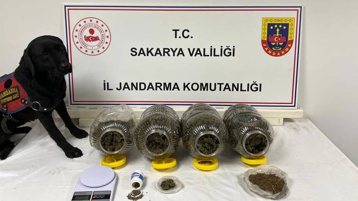 Sakarya'da uyuşturucu operasyonu