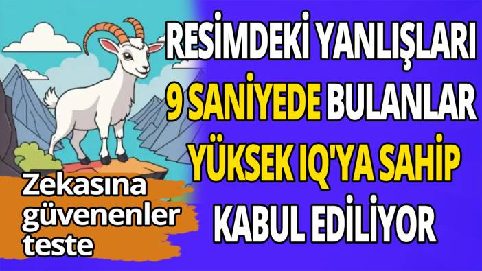Zekasına güvenenler teste Resimdeki yanlışları 9 saniyede bulanlar yüksek IQ'ya sahip kabul ediliyor