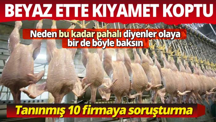 Beyaz et sektöründe kıyamet toptu En ünlü 10 firmaya soruşturma