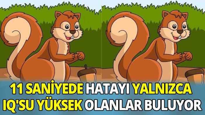 11 Saniyede  hatayı yalnızca IQ'su yüksek olanlar buluyor