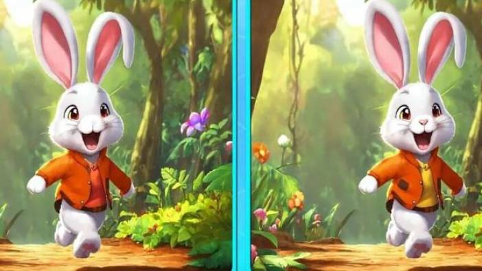 Resimdeki iki tavşanın arasındaki 5 farkı bulanlar yüksek zekaya sahip