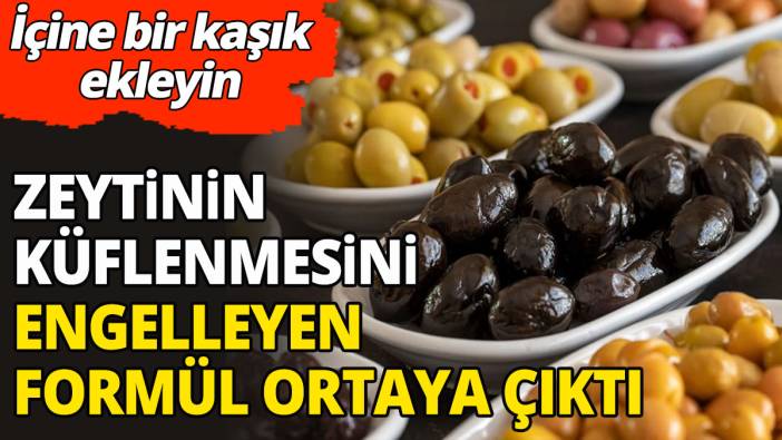 Zeytinin küflenmesini engelleyen formül ortaya çıktı 'İçine bir kaşık ekleyin'