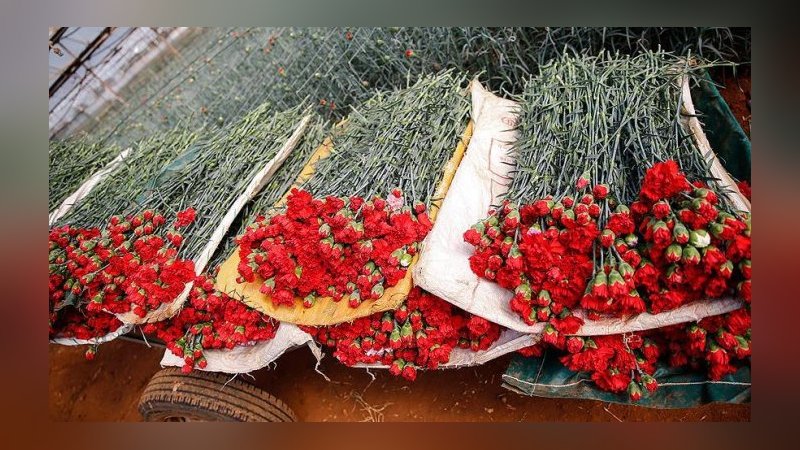 Çiçekçiler ihracatta hedef büyüttü