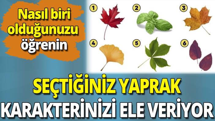Seçtiğiniz yaprak karakterinizi ele veriyor 'Nasıl biri olduğunuzu öğrenin'