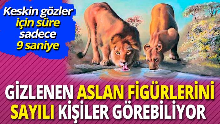 Gizlenen aslanları sayılı kişiler görebiliyor 'Keskin gözler için süre sadece 9 saniye
