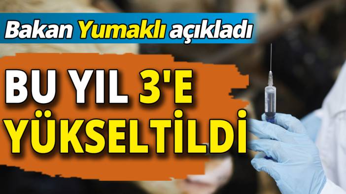 Bakan Yumaklı açıkladı Bu yıl 3'e yükseltildi