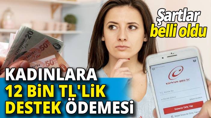 Kadınlara 12 bin TL'lik destek ödemesi Şartlar belli oldu