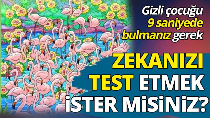 Gizli çocuğu 9 saniyede bulmanız gerek Zekanızı test etmek ister misiniz