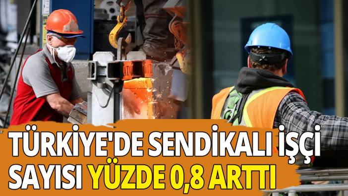 Türkiye'de sendikalı işçi sayısı yüzde 0,8 arttı