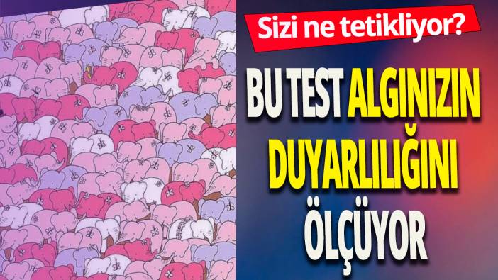 Bu test algınızın  duyarlılığını ölçülüyor 'Sizi ne tetikliyor'