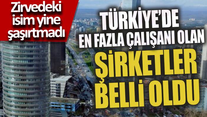 Türkiye'de en fazla çalışanı olan şirketler belli oldu 'Zirvedeki isim yine şaşırtmadı'