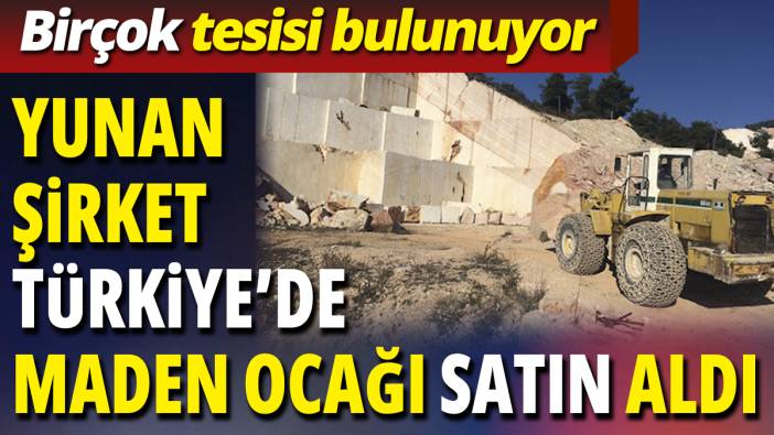 Yunan şirket Türkiye’de maden ocağı satın aldı 'Birçok tesisi bulunuyor'
