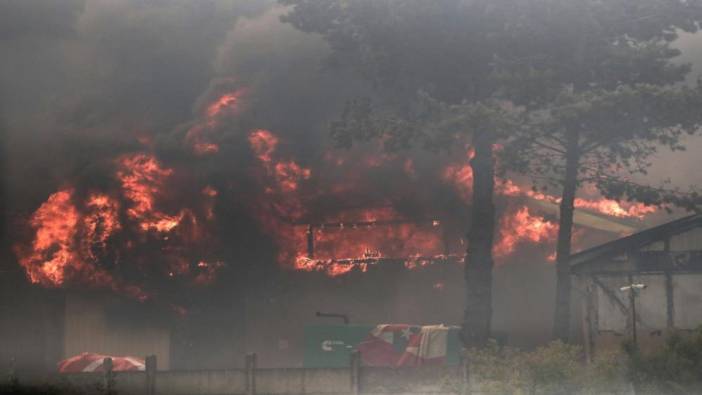 Şili’deki orman yangınlarında can kaybı 64’e çıktı