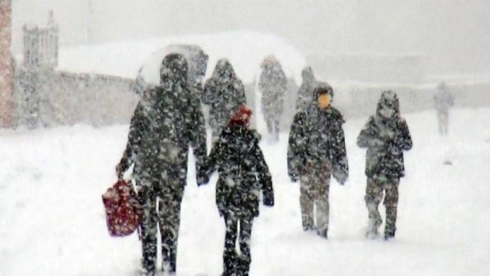 Van'ın Saray ve Özalp ilçelerinde kar nedeniyle okullar tatil edildi