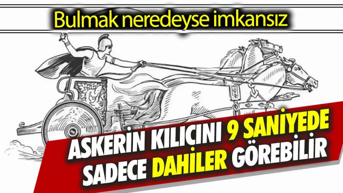Bulmak neredeyse imkansız Askerin kılıcını 9 saniyede sadece dahiler görebilir