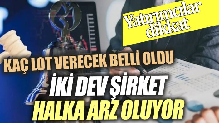 İki dev şirket halka arz oluyor Kaç lot verecek belli oldu