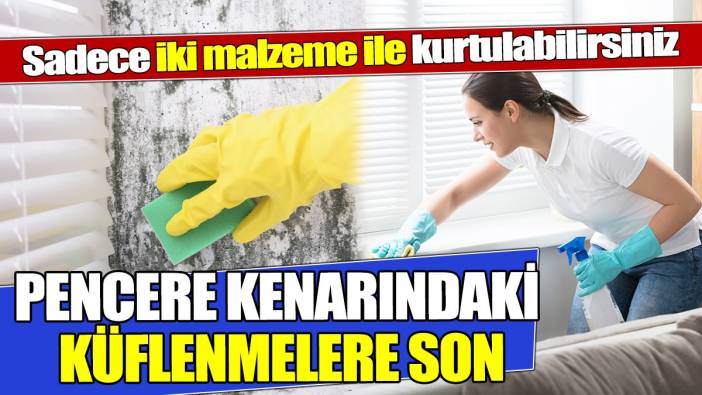 Pencere kenarındaki küflenmelere son Sadece iki malzeme ile kurtulabilirsiniz