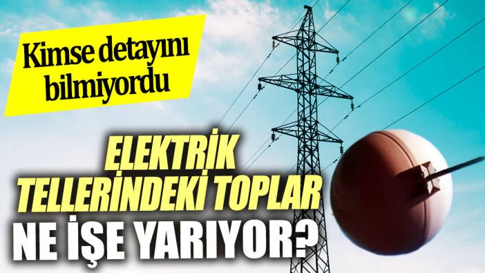 Elektrik tellerindeki toplar ne işe yarıyor 'Kimse detayını bilmiyordu'