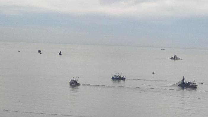 Balıkçı tekneleri Kozlu açıklarına akın etti