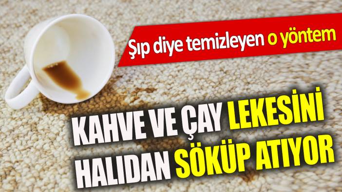 Kahve ve çay lekesini halıdan söküp atıyor Şıp diye temizleyen o yöntem