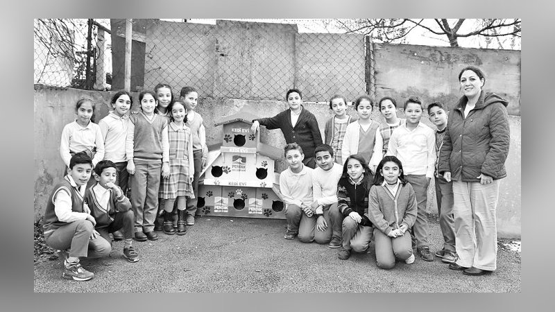 Okula üç katlı  mini kedi evi