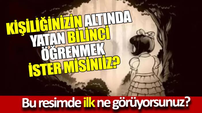 Kişiliğinizin altında yatan bilinci öğrenmek ister misiniz Bu resimde ilk ne görüyorsunuz
