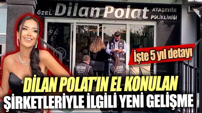 Dilan Polat’ın el konulan şirketleriyle ilgili yeni gelişme 'İşte 5 yıl detayı'