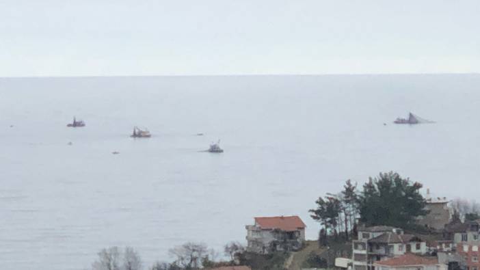 Zonguldak’ta balıkçıların yoğun mesaisi