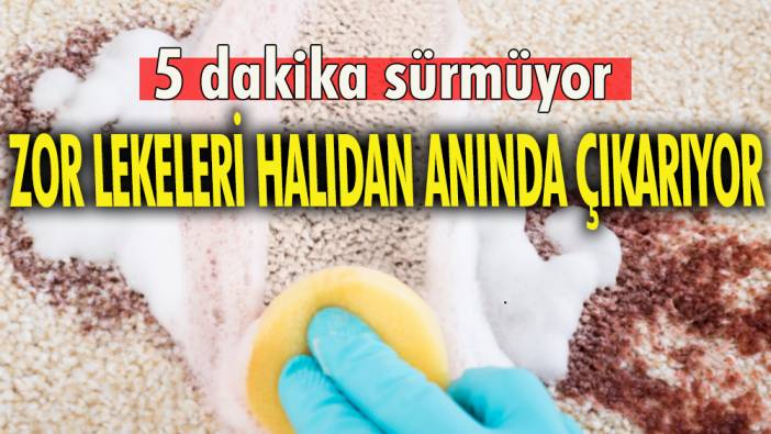 Zor lekeyi halıdan anında çıkarıyor '5 dakika sürmüyor'