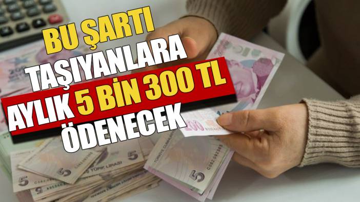 Bu şartı taşıyanlara aylık 5 Bin 300 TL destek ödenecek