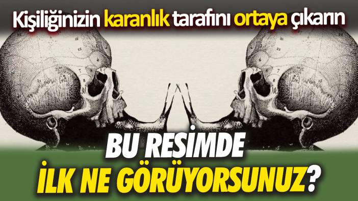 Bu resimde ilk ne görüyorsunuz Kişiliğinizin karanlık tarafını ortaya çıkarın