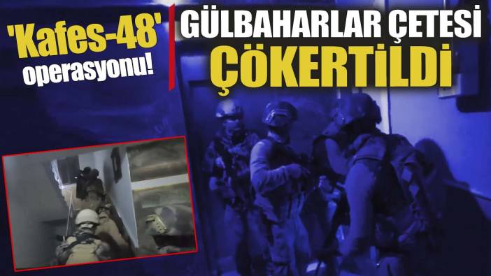 Gülbaharlar çetesi çökertildi 'Ali Yerlikaya duyurdu'