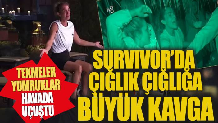 Survivor All Star'da çığlık çığlığa büyük kavga Tekmeler havada uçuştu
