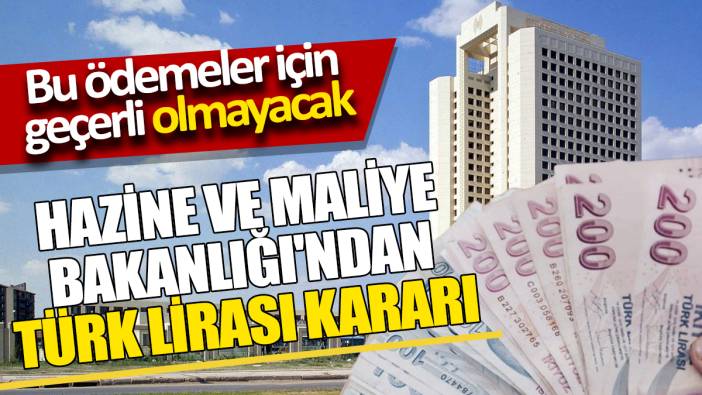 Hazine ve Maliye Bakanlığı'ndan Türk Lirası kararı Bu ödemeler için geçerli olmayacak