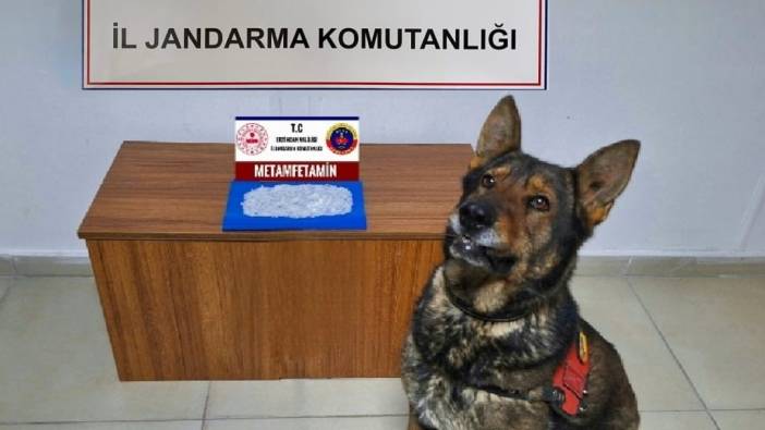 Erzincan’da uyuşturucu operasyonu '1 kişi tutuklandı'