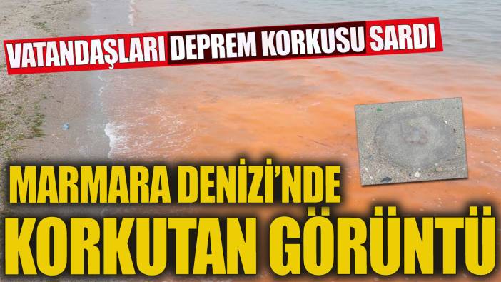 Marmara Denizi'nde korkutan görüntü Görenleri deprem korkusu sardı