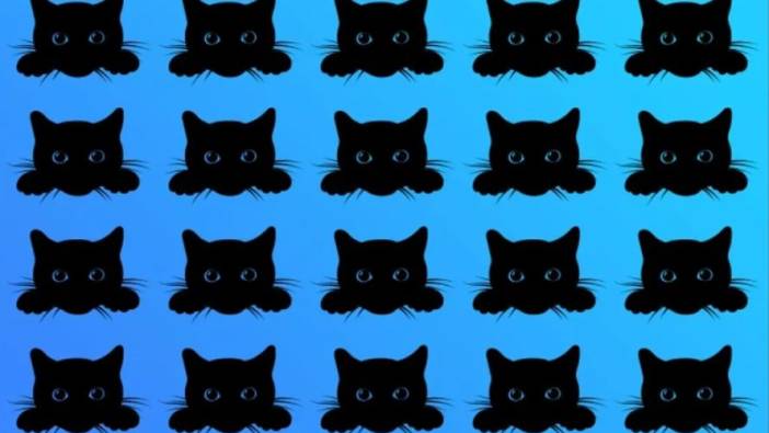 IQ turnusolü testi Resimdeki farklı kediyi 6 saniyede bulmak için en az 110 IQ gerekiyor