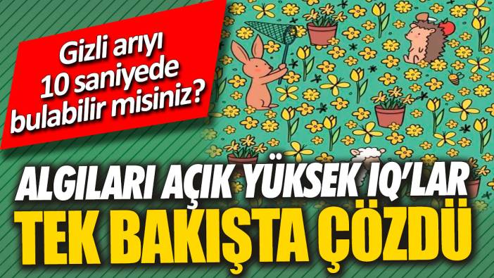 Algıları açık yüksek IQ’lar tek bakışta çözdü 'Gizli arıyı 10 saniyede bulabilir misiniz'