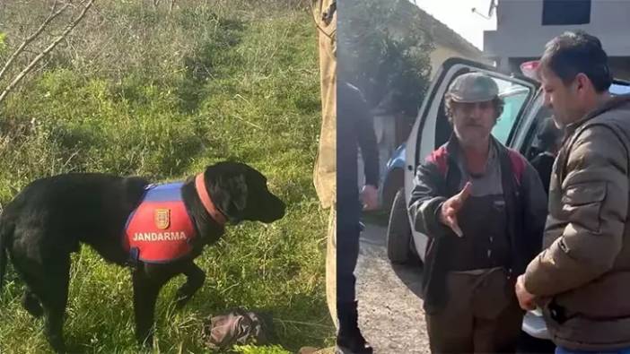 İz takip köpeği 'Voltaj' kaybolan adamı ormanda buldu