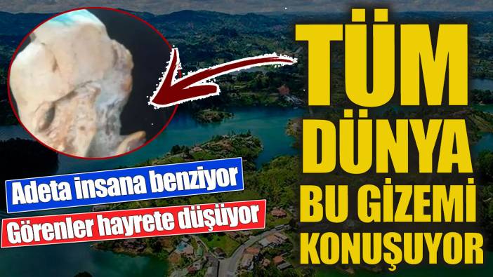 Tüm dünya bu gizemi konuşuyor 'Adeta insana benziyor